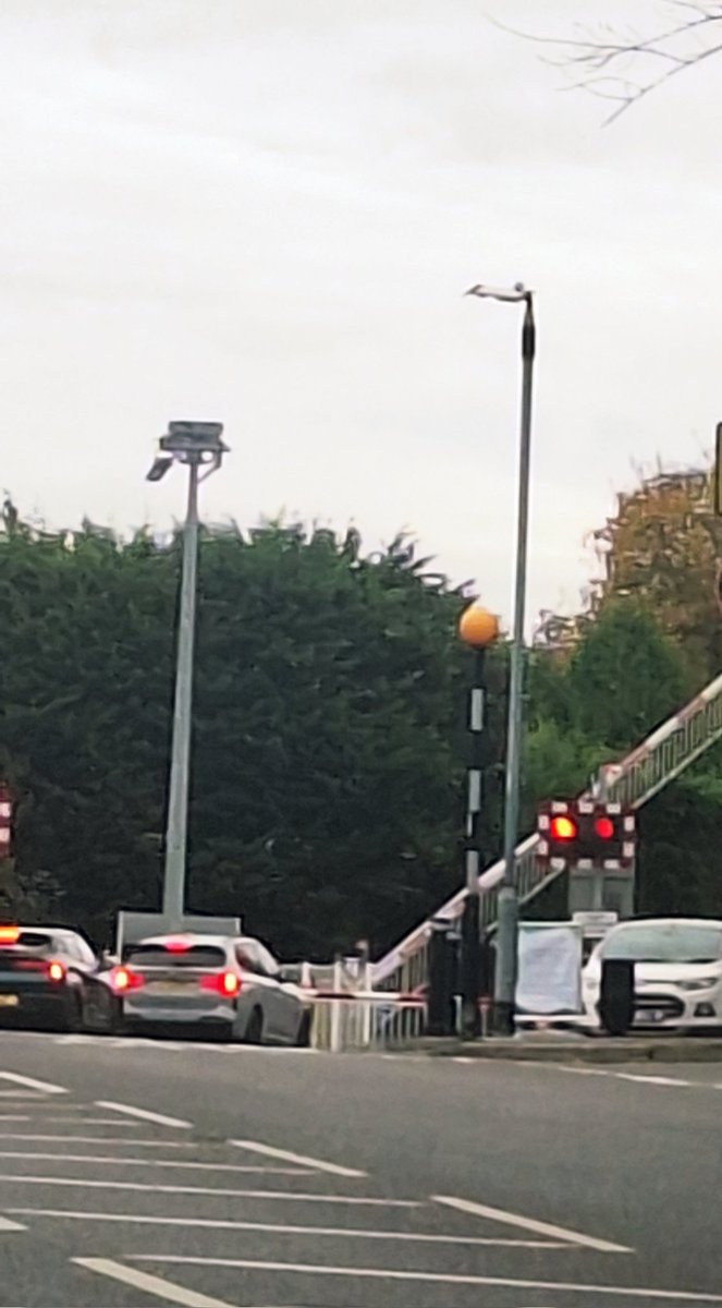 MissHotPot's tweet image. Time to kill this morning,  commute was a breeze. Have some cheeky #carlegs &amp;amp; a #levelcrossing for you train pervs #tights #legs