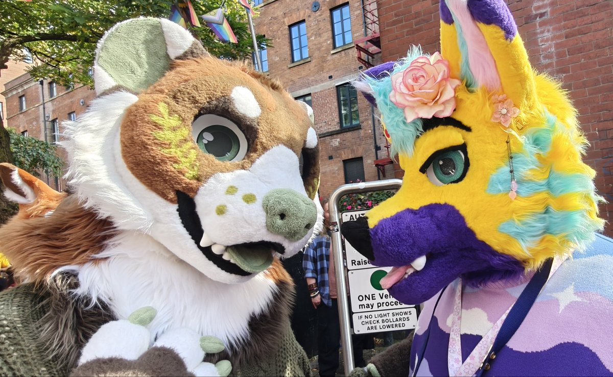 When you and your bestie give each other ‘the look’ before causing chaos and drama 🤣🙈

📸: <a href="/Cliff_747/">Cliff 💙🧡 🔜 Scotiacon</a> 
🪡: <a href="/HouseOfCardsFur/">♠️ House Of Cards Fursuits ♠️</a>