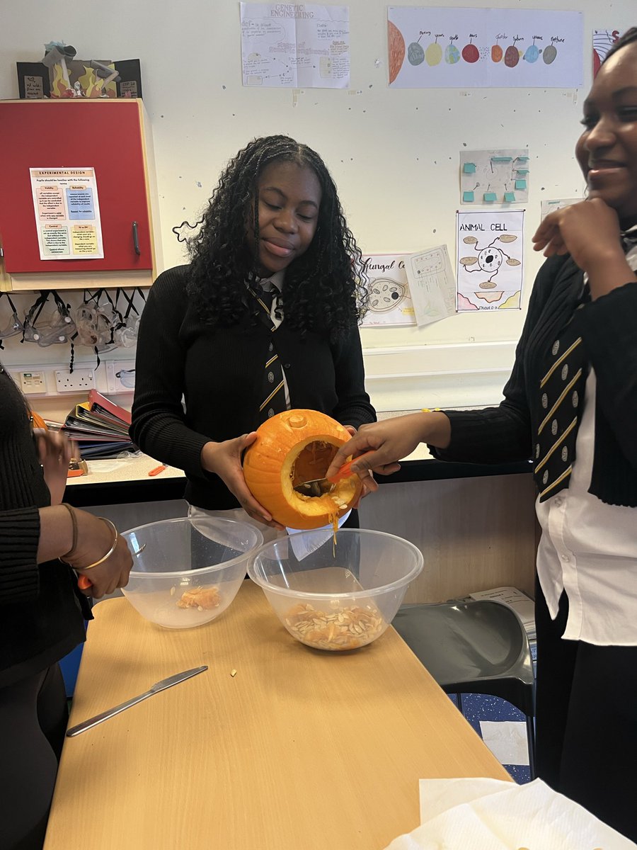 Great Halloween prep from senior YSL giving up their lunchtime to carve my pumpkins for this weeks science club 🎃🎃🎃 <a href="/StMungosAcademy/">St Mungo's Academy</a> <a href="/StMungoScience/">St. Mungo’s Academy Science</a> <a href="/YoungSTEMLeader/">Young STEM Leader</a>