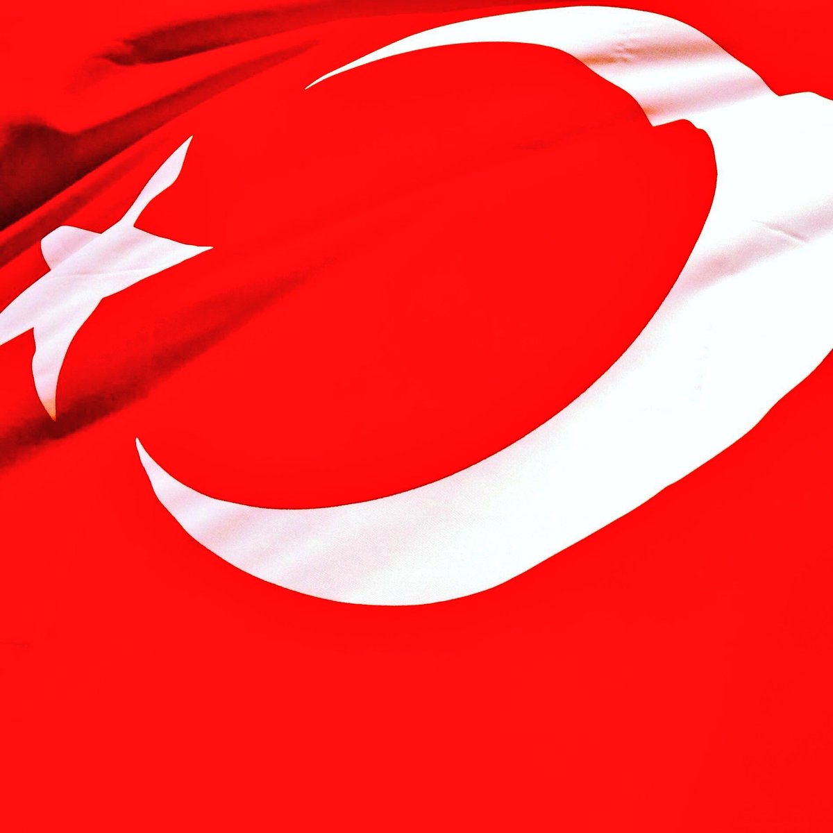 SERDAR ASLAN | Beşiktaş - İstanbul 2. Bölge tweet media