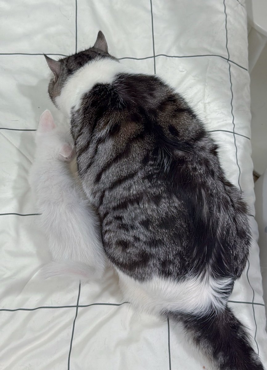 หวัดดีมารีนเรามาม่อน ตะกูลมาเหมียนกันต้องแบ่งกันกินน้าาา