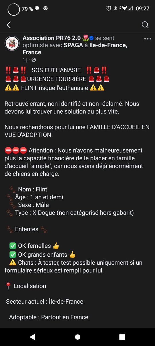 20320Vero's tweet image. SOS Euthanasie ⚠️🚨 Fourrière île de France ⚠️🚨🚨 Recherche famille d&apos;accueil en vu d&apos;adoption pour le magnifique Flint 🚨 Asso PR76 2.0 Merci de partager en masse 🚨facebook.com/share/p/1BLpHF…