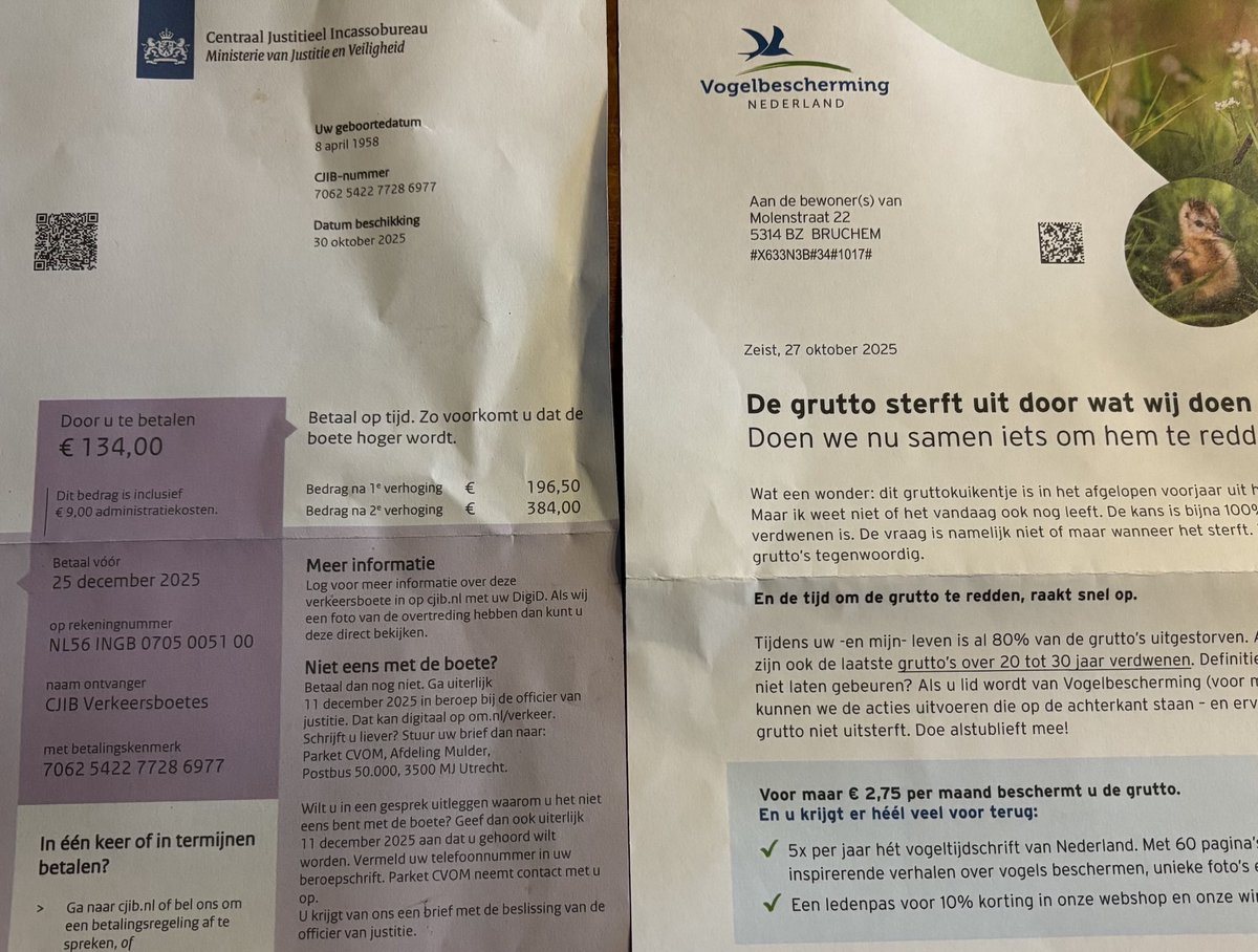 Maarten Ducrot tweet media