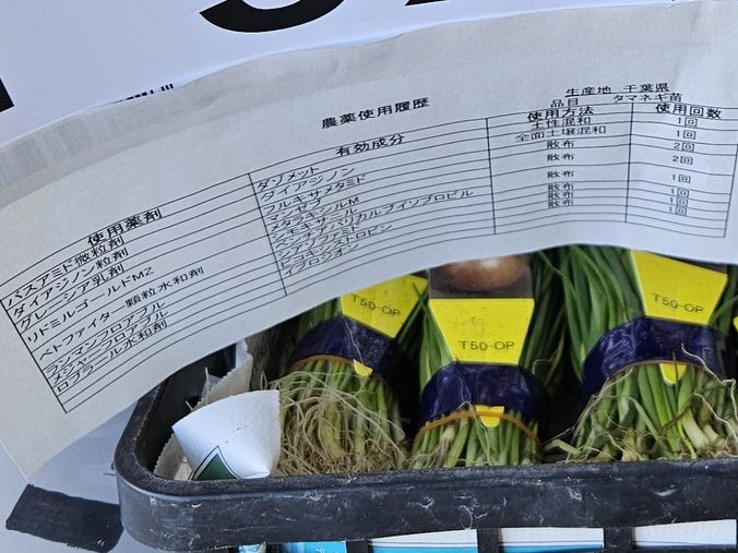 まるちゃっちゃ on X