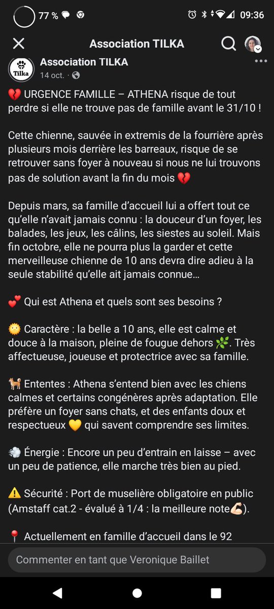 20320Vero's tweet image. SOS famille d&apos;accueil en Ile de France même temporaire pour la magnifique Athéna actuellement dans le 92⚠️⚠️⚠️ Sauvée de la fourrière, elle retournera en box si pas de solution 💔😥 Délai : 31 octobre 🙏🚨⚠️🚨⚠️Asso Tilka 
facebook.com/share/p/17VWMc…