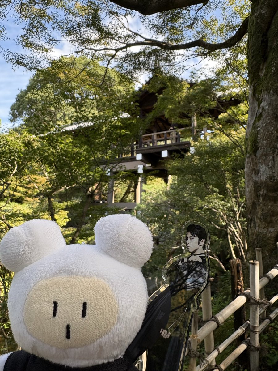 キャサリン＠K (@catherine_k_) / Posts / X