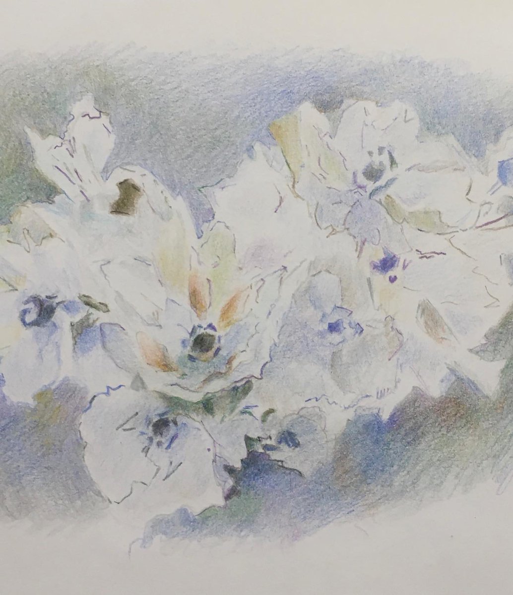 asterie_n's tweet photo. #copy #study #pencil
original is watercolor by #Vrubel https://t.co/0bRwbrdwjl