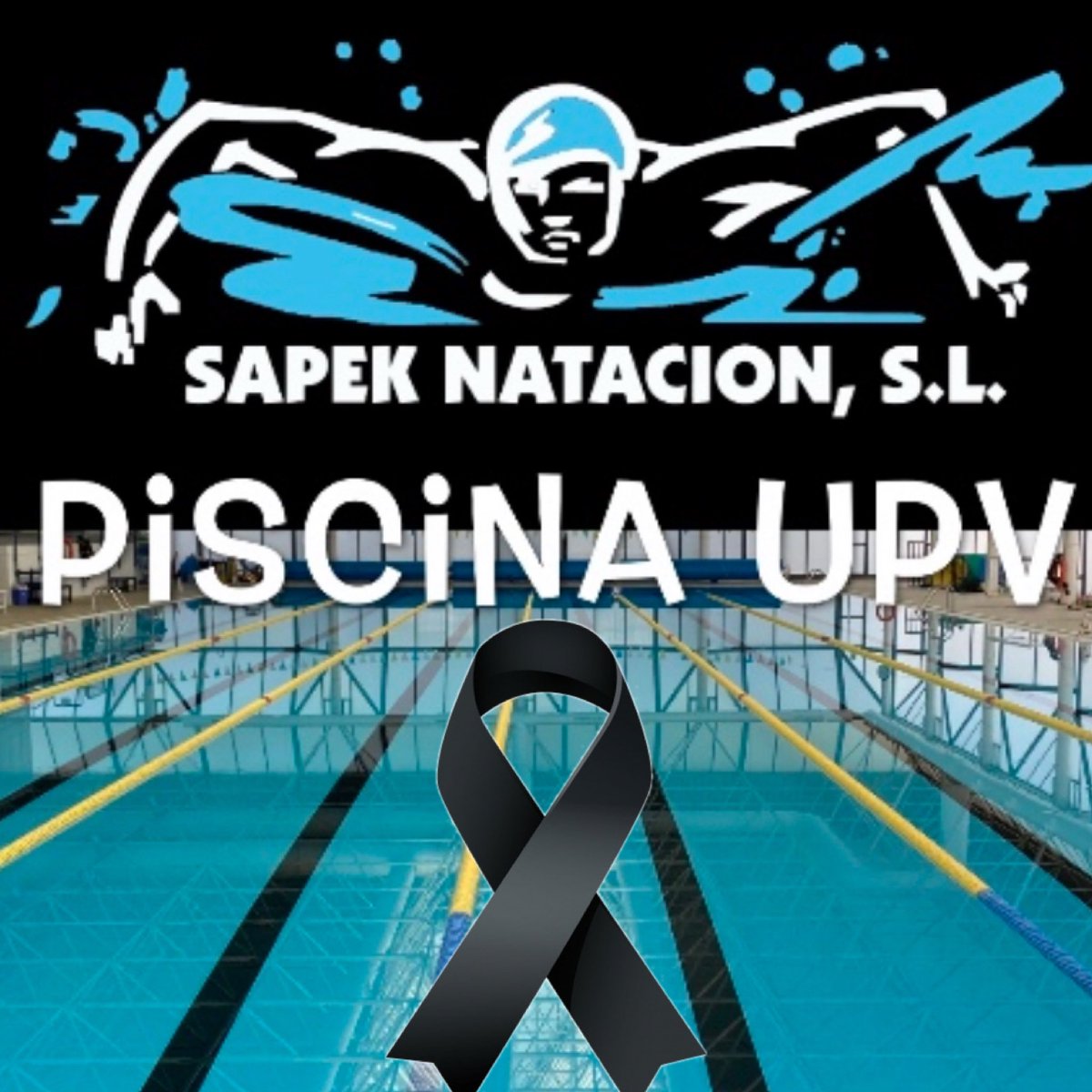 Sapek Natación S.L. tweet media