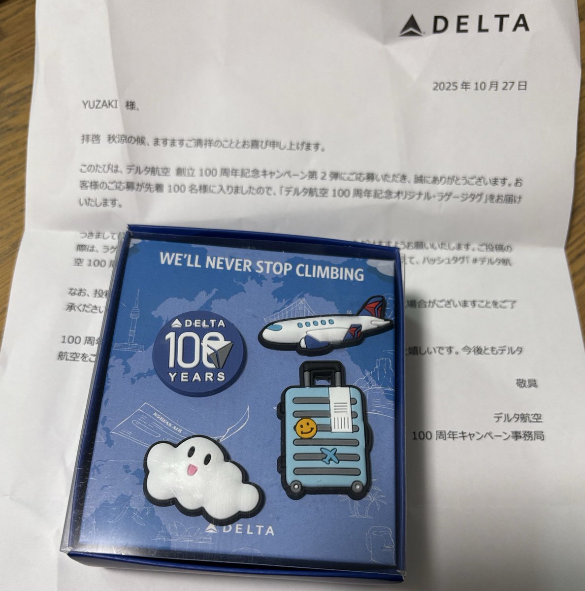 【激レア】EVER RISE プレミアムコレクション デルタ航空機 激レア】EVER RISE プレミアムコレクション デルタ航空機 激レア