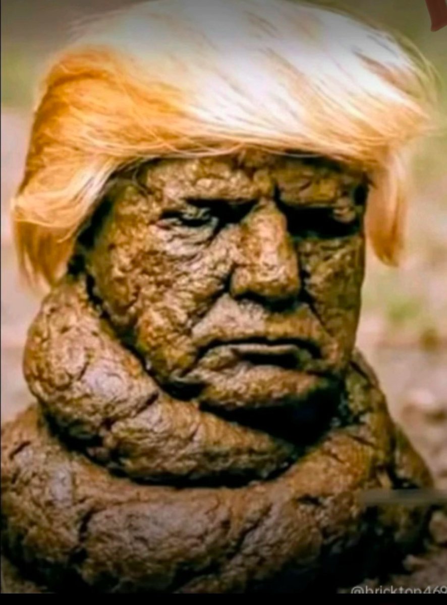 Yup 👍 <a href="/realDonaldTrump/">Donald J. Trump</a>