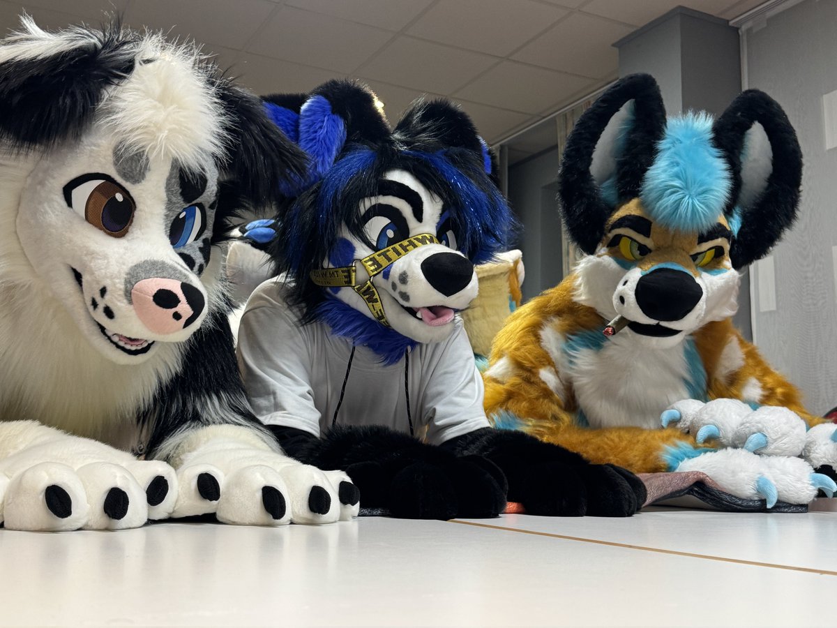 Famai + Gin 🔜 Furizon & East14 tweet media