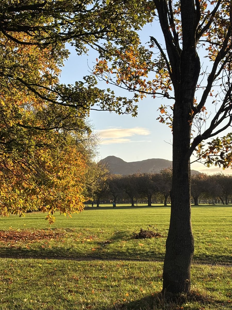 Ms Marchmont 🏳️ tweet media