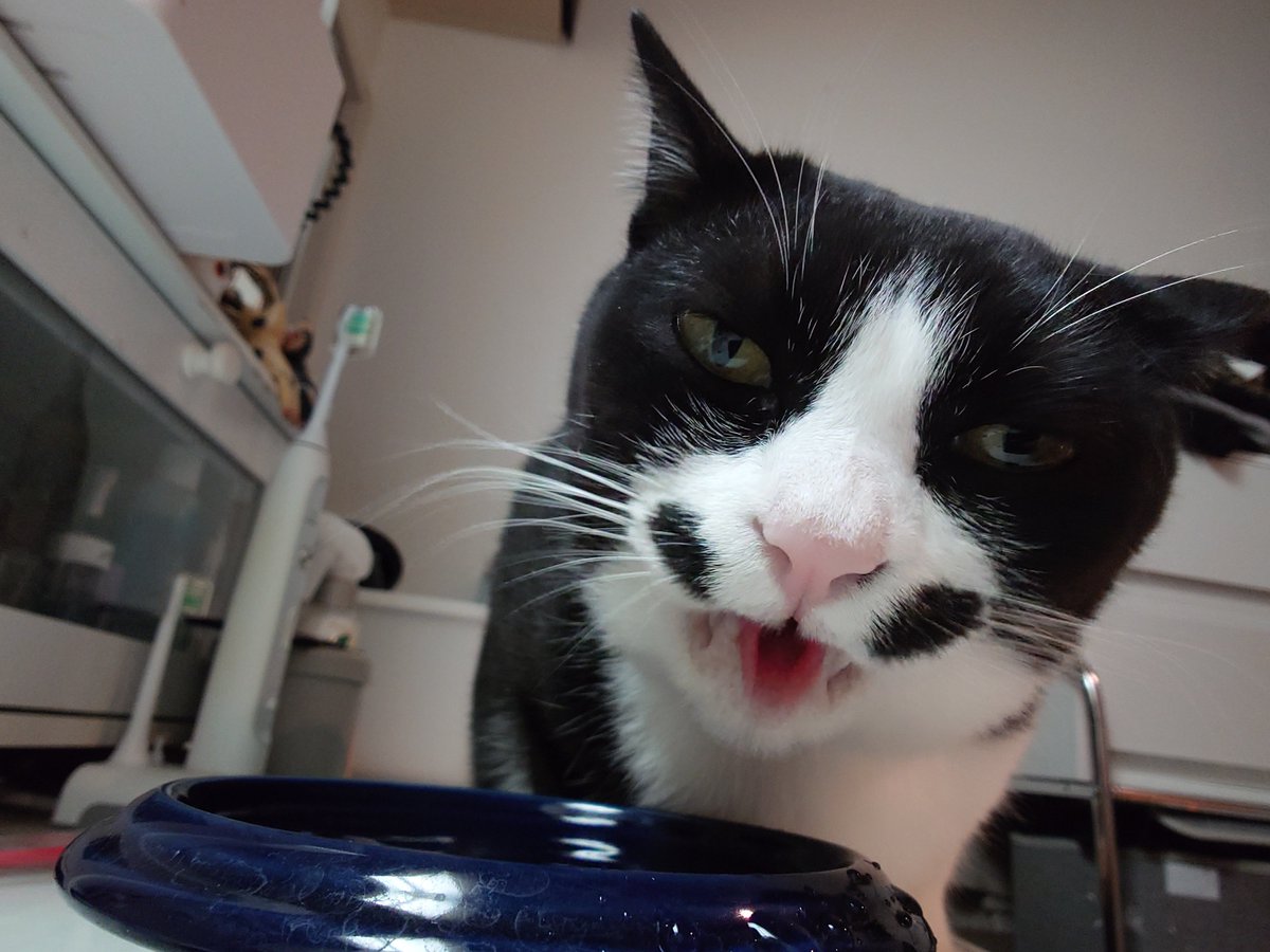 ○chat noir○ (@chatnoir8888) / Posts / X