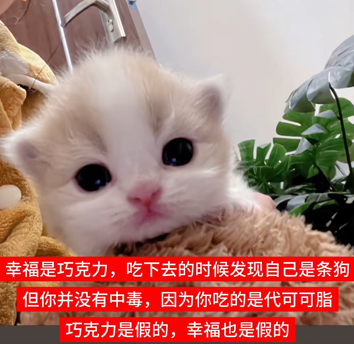 黄推福利内容 - 太好了!是桑叶老师!的精彩图片 福利姬太好了!是桑叶老师!分享的黄推图片2 - 网红私拍内容