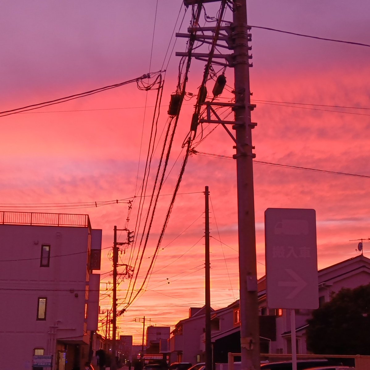 simadayuki's tweet image. この夕日の色