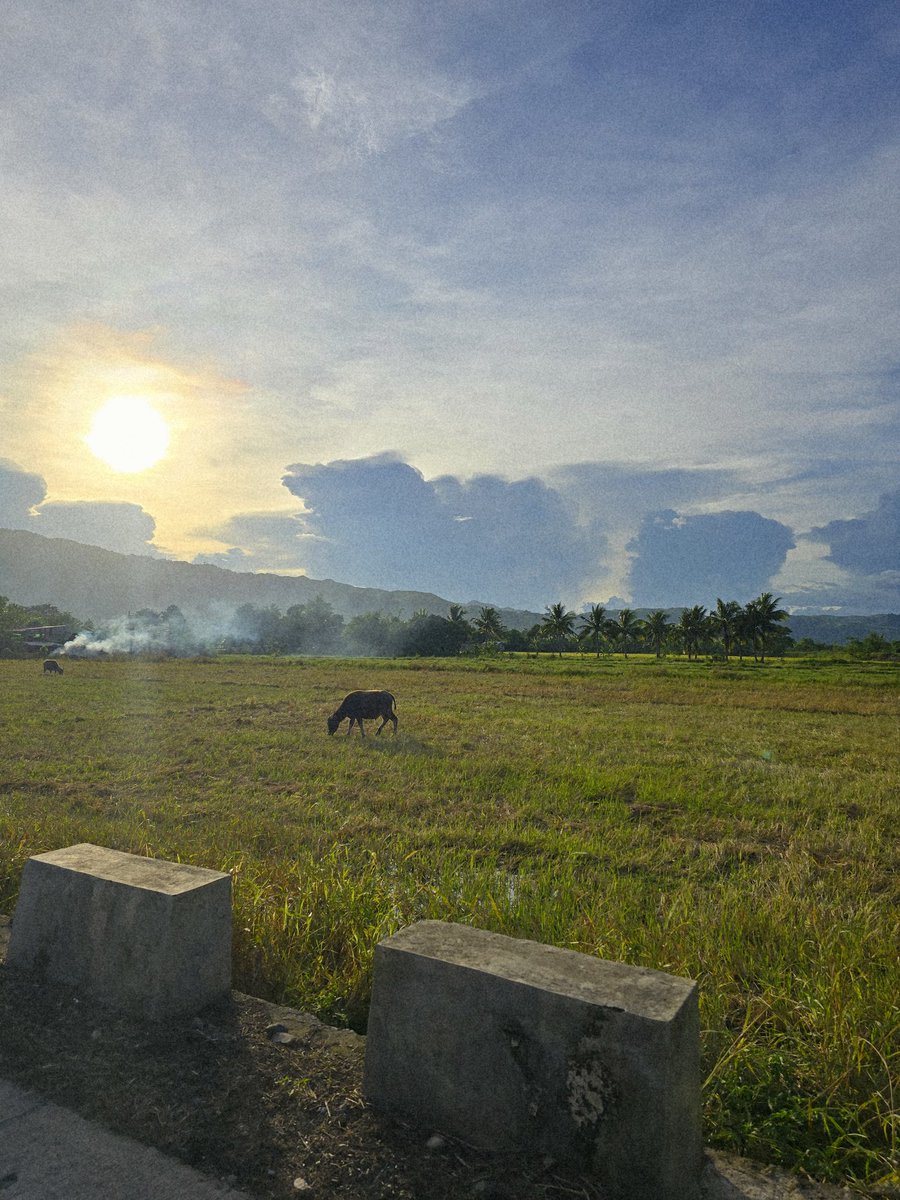 ohhsokiks's tweet photo. Probinsya. https://t.co/NyZqvDU9Lp