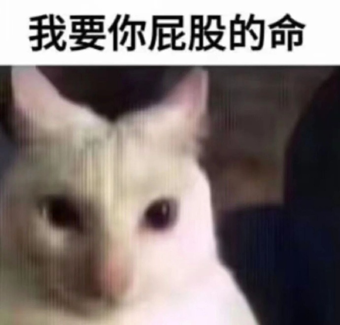 BubbleLab巴布实验室 tweet media