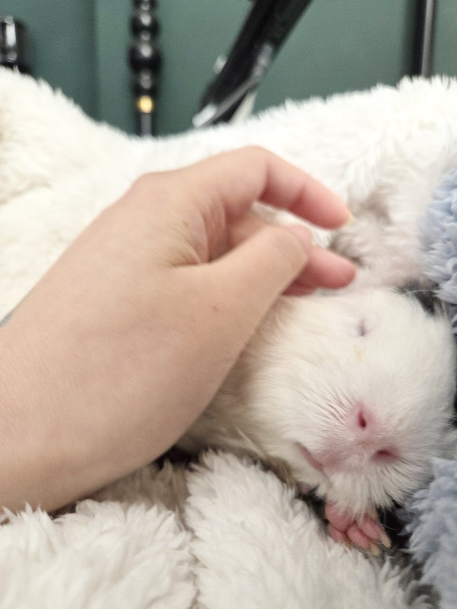 간다간다숑간다