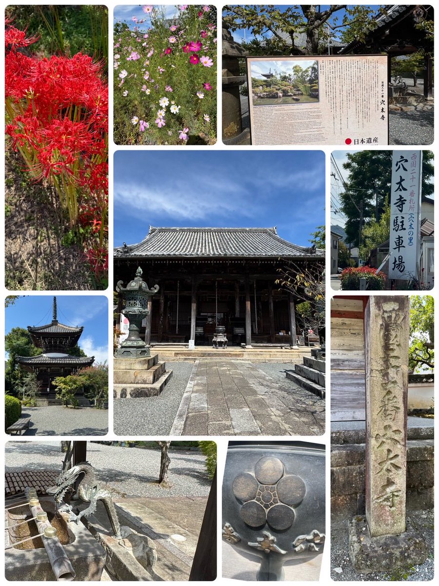 曼陀羅、額つき 京都観光Navi《京都市観光協会》 on X