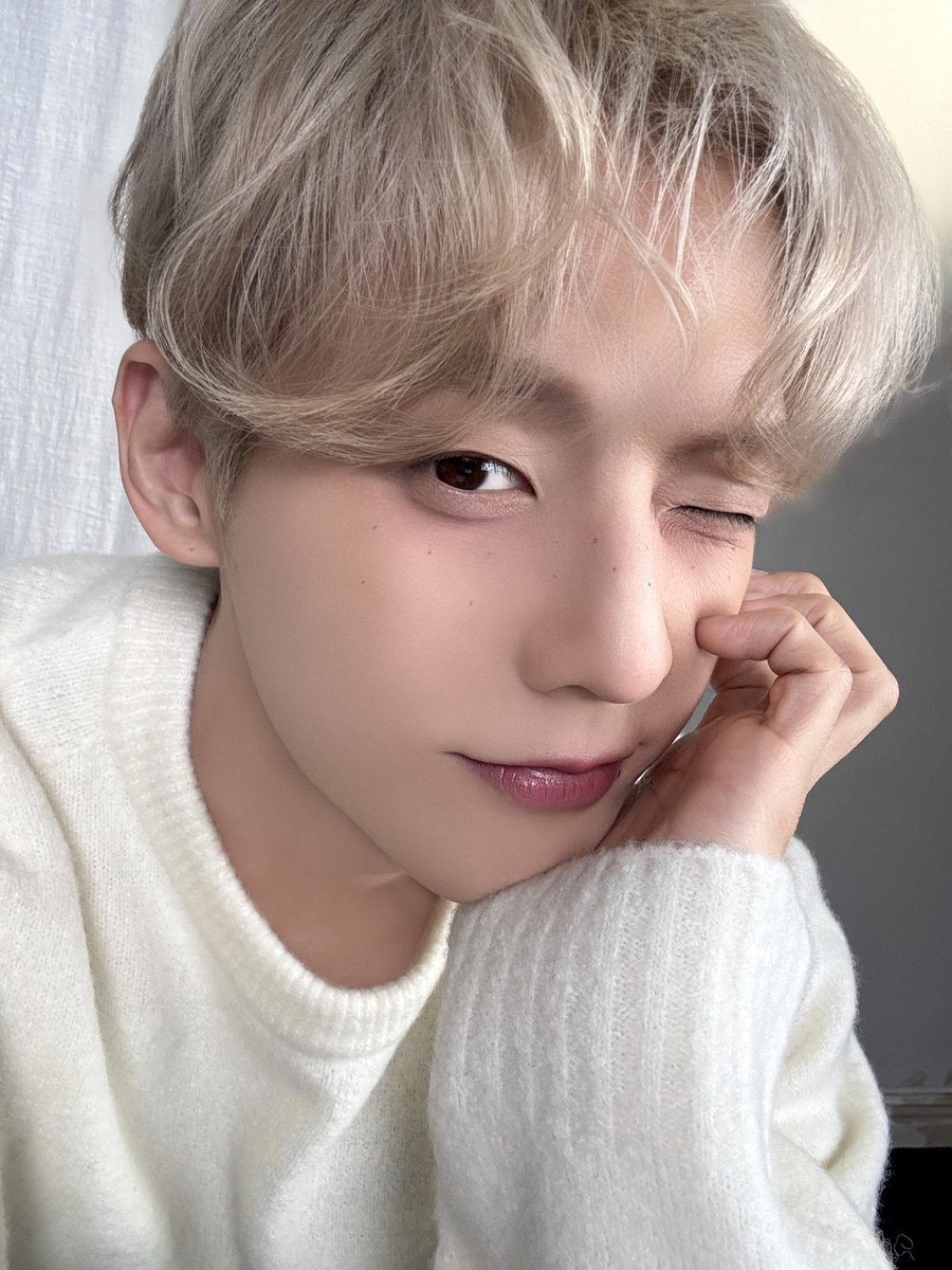 천사 멍뭉이 🐶🪽