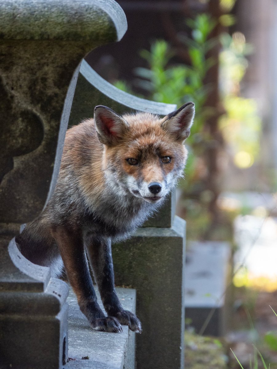 Benoît GALLOT tweet media