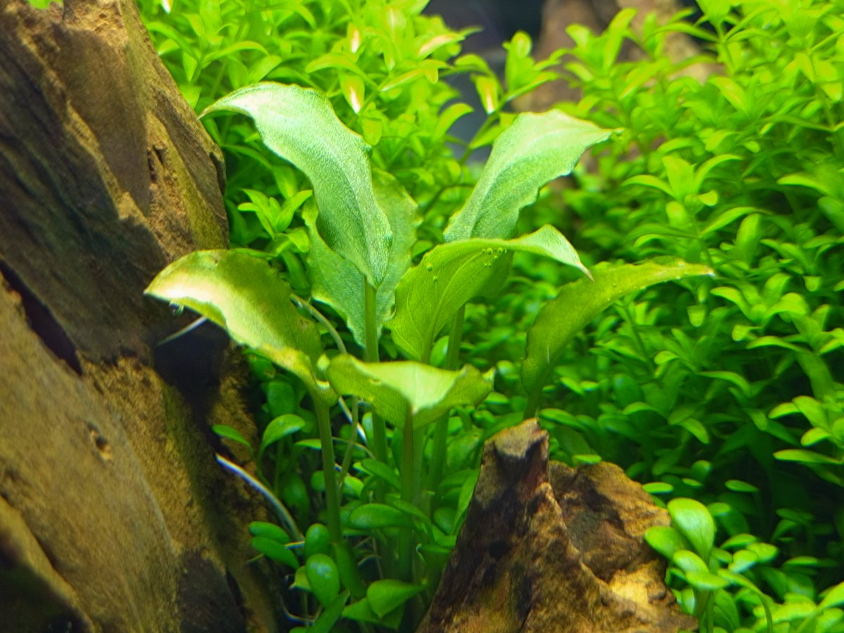 まさ@某ブログ管理人 on X