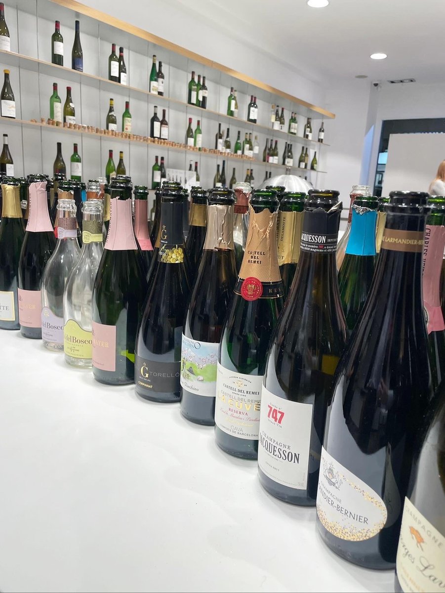 roc_sumiller's tweet photo. A sparkling Monday in Vila Viniteca! 🩵🍾🥂✨✨
.
.
#vilaviniteca #bubbles #champagnelovers #metodotradicional https://t.co/Zo7LvfN4jD