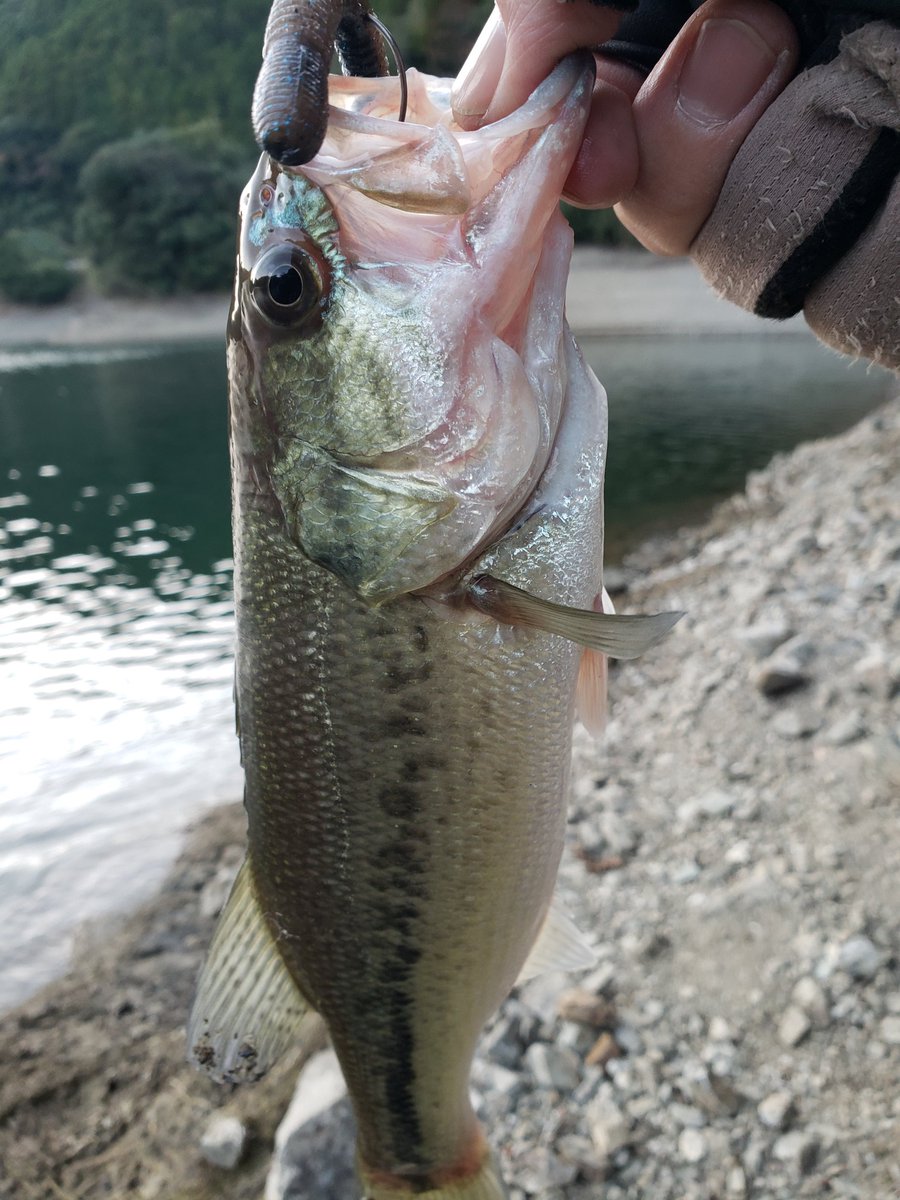 マサページ masa on X