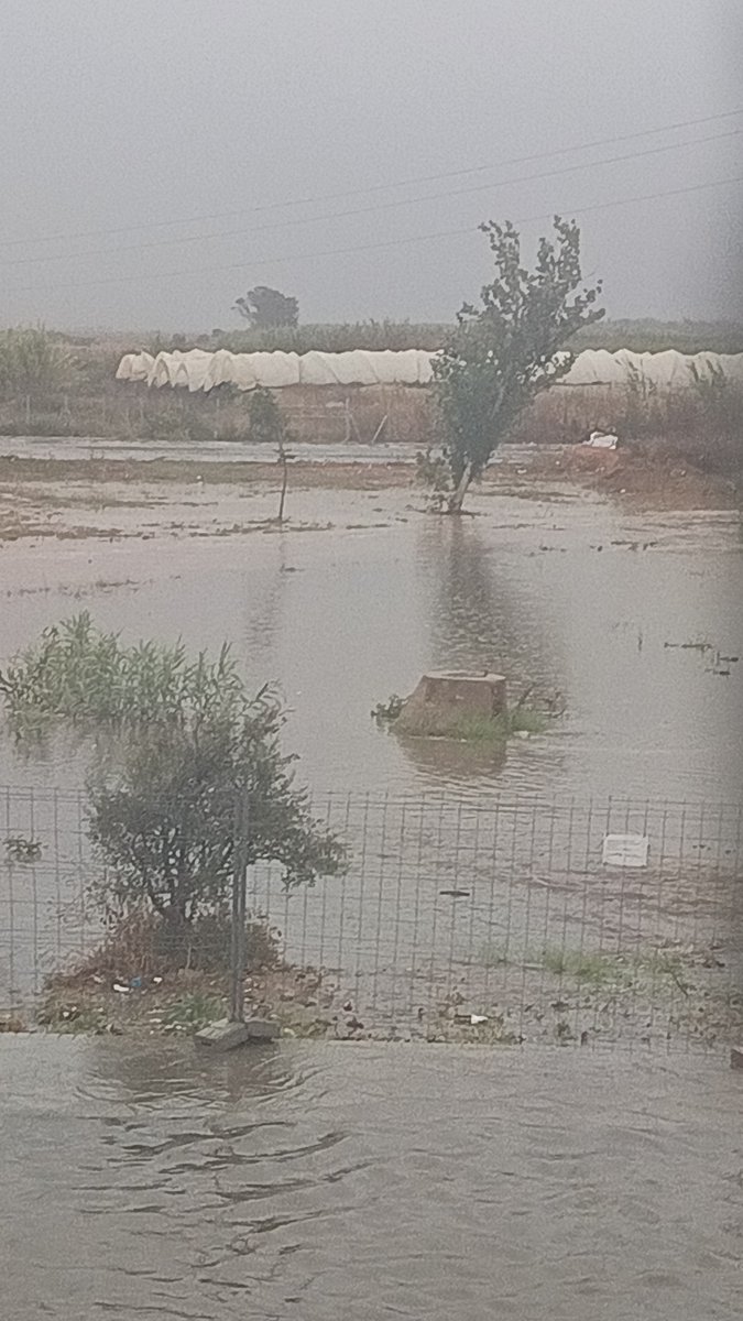 manuel9fdez's tweet photo. @Meteohuelva el regajo pegado al campo de fútbol en Lepe va hasta arriba. https://t.co/3m4YMPm0Xk
