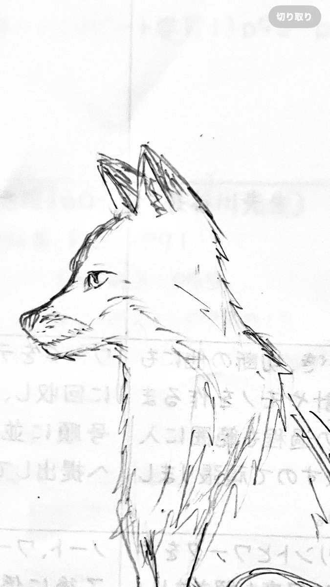 僕にしては頑張った