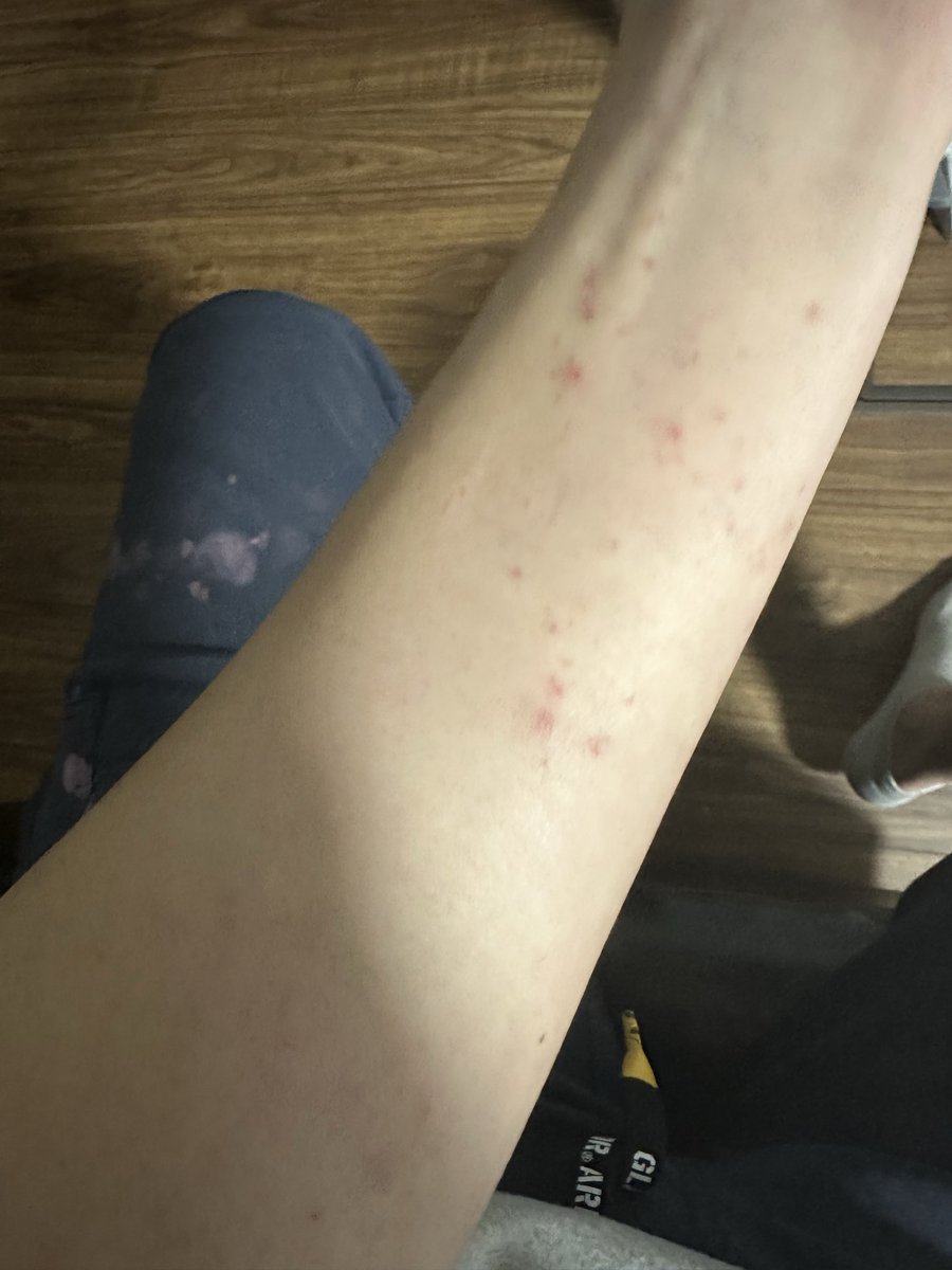 おかピ (@okapippi777) / Posts / X