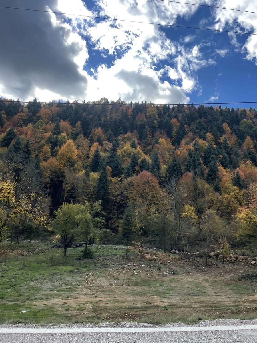 Yay burcu ailemizi şöyle özetleyeyim sanki İstanbulda HİÇ orman kalmamış gibi yokmuşcasına sabah 6 da kalkıp 3.5 saat yol çekip piknik yapmaya Bolu’ya geldik 👍🏻