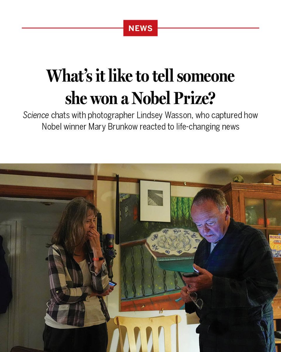 Among the press, there’s an axiom that a journalist shouldn’t become the story.

But in the predawn hours of 6 October, Lindsey Wasson, AP’s staff photographer in Seattle, found herself in the unique position of being the one to tell Mary Brunkow she was one of the three winners
