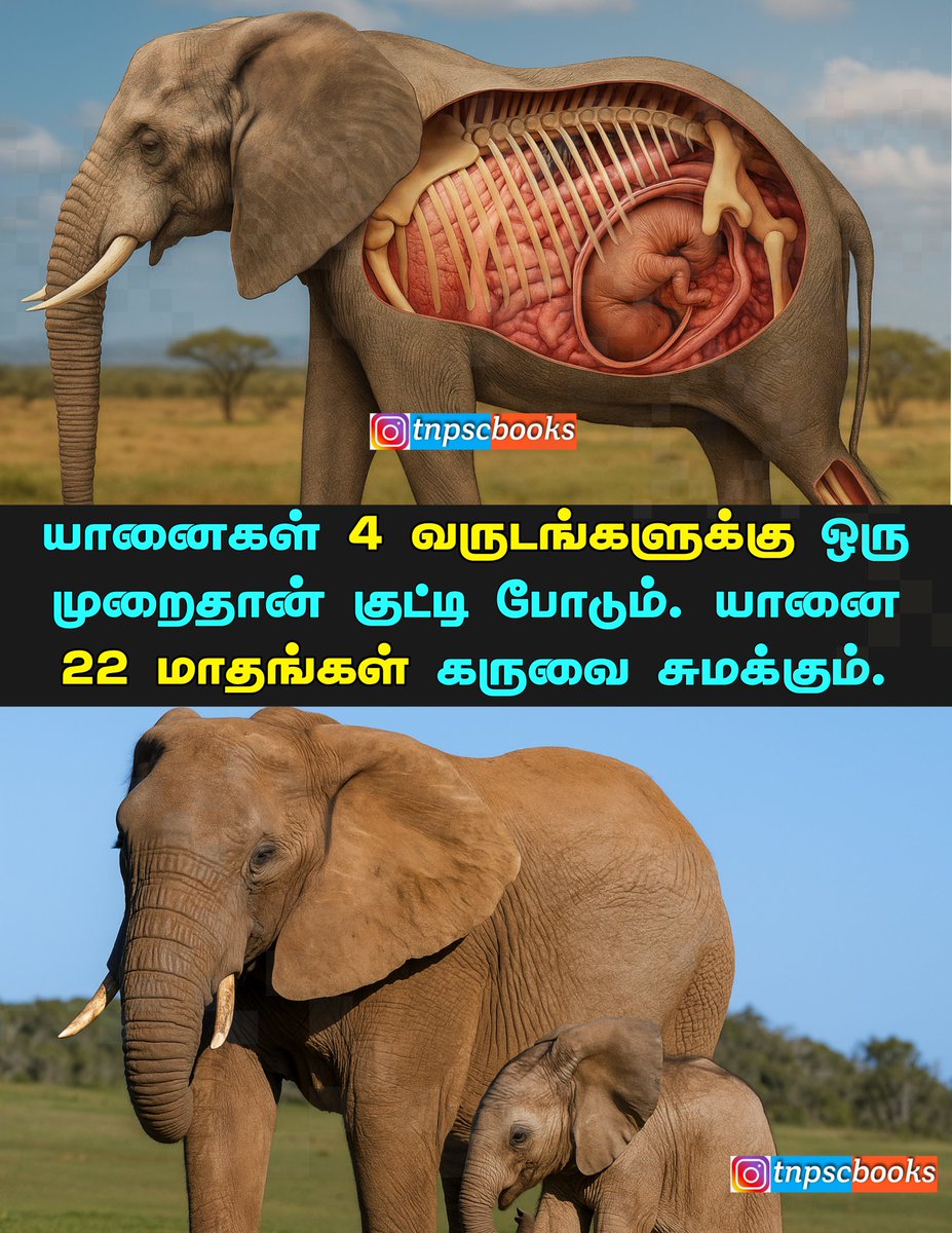 Tnpsc_books's tweet photo. #tnpsc #tnpscquestions https://t.co/b1fEeqG064