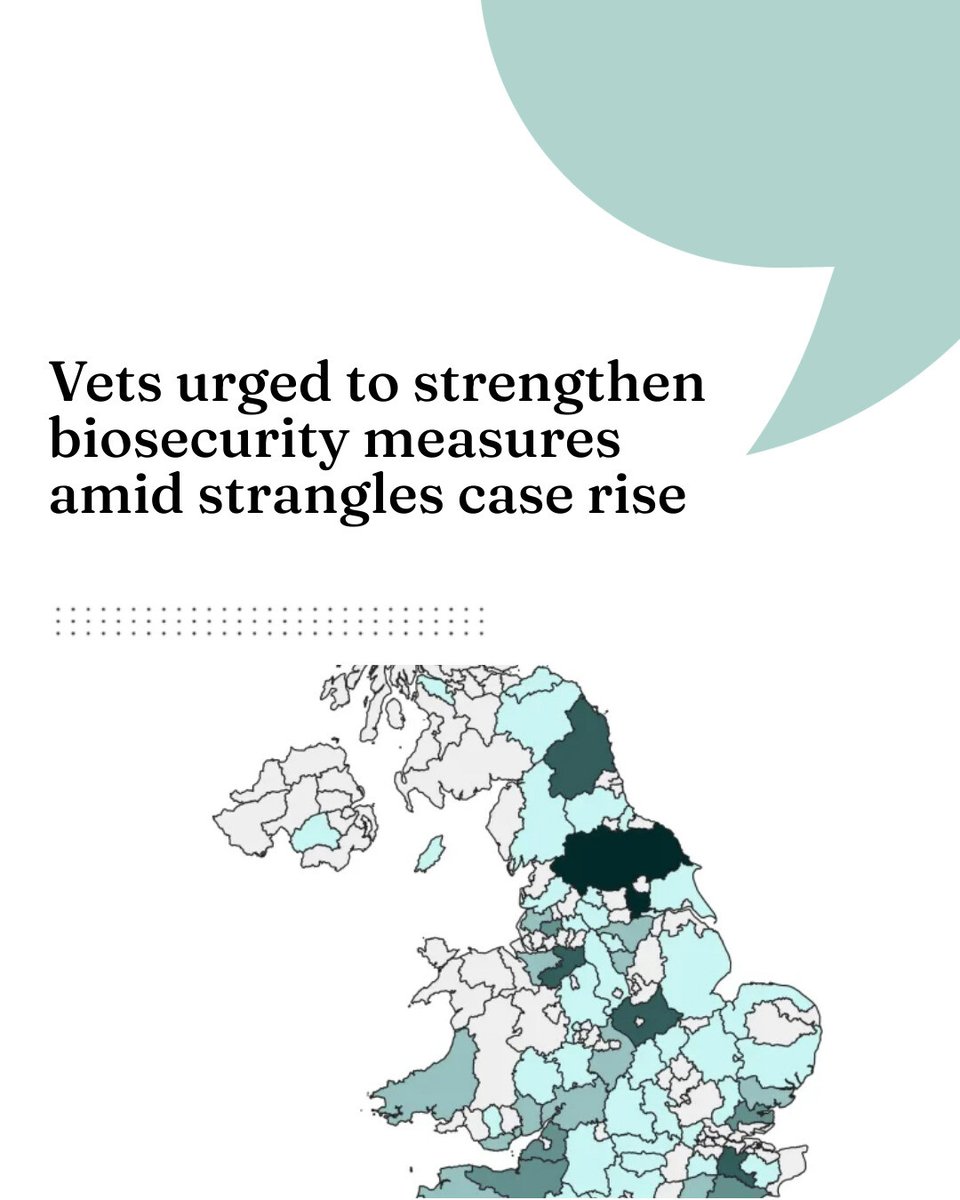 Vet Times tweet media