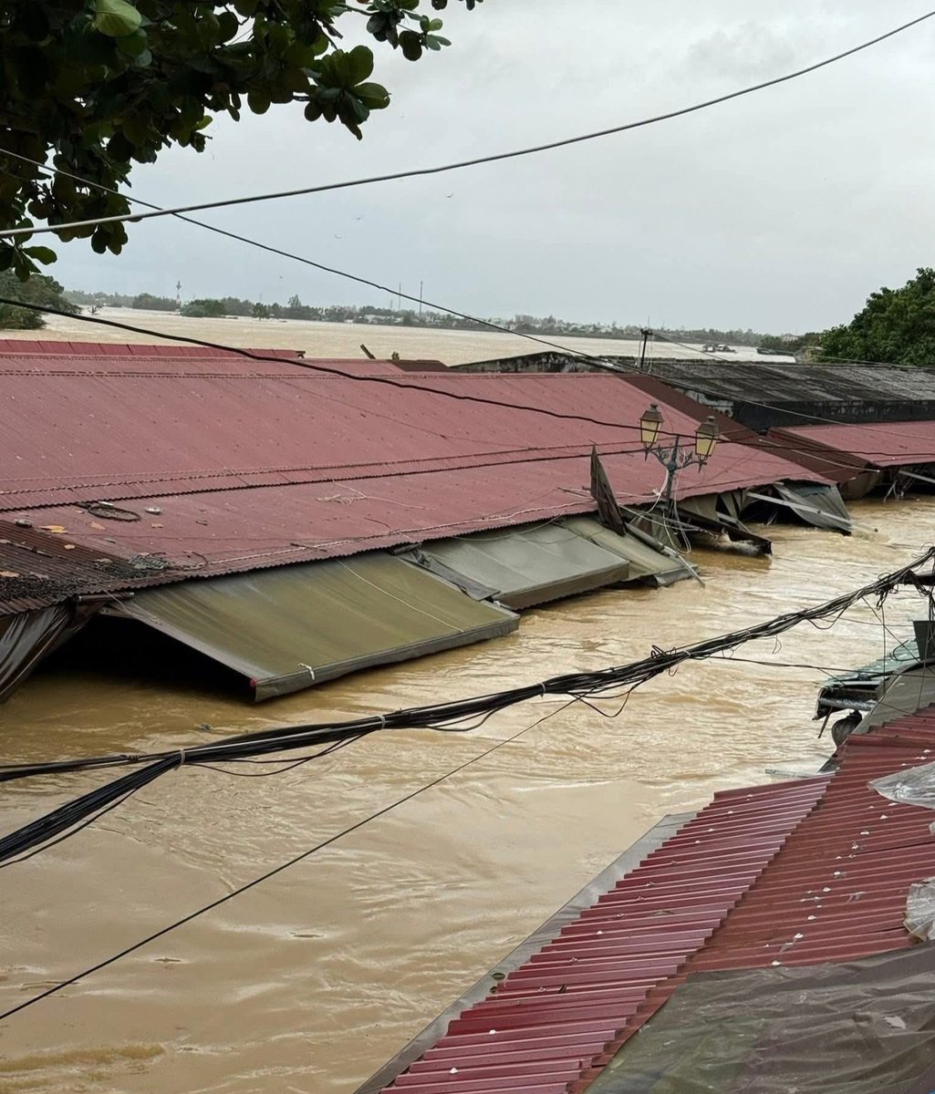 Bella Quack tweet media