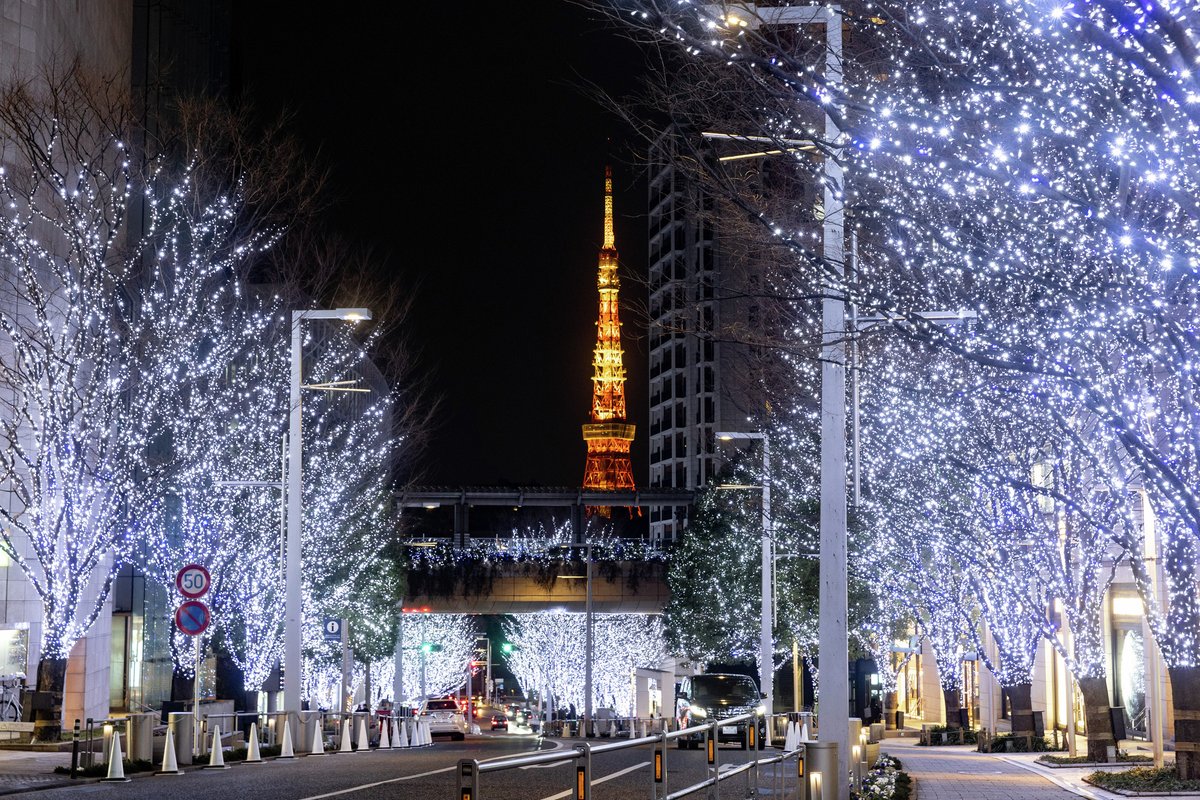 enjoy_tokyo's tweet photo. 東京のイルミネー���ョンまとめ💡✨

・丸の内イルミネーション 2025
・Roppongi Hills Christmas 2025
・MIDTOWN CHRISTMAS 2025
・よみうりランド　ジュエルミネーション

ほかにもエリア別で紹介中です👇
https://t.co/8CHoyzFpgS https://t.co/6EWY83zEew