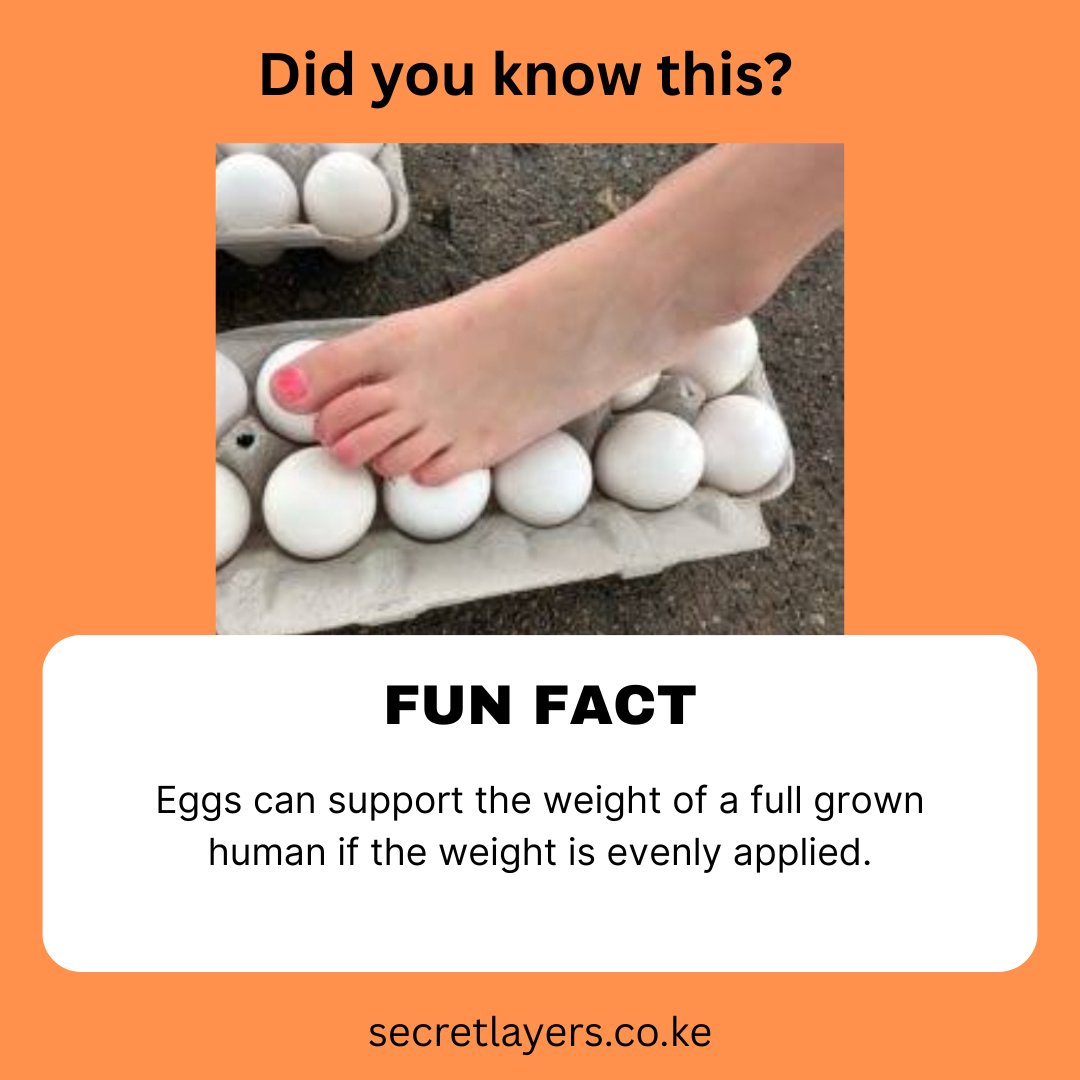 LayersSecret's tweet image. Crazy❗
But it&apos;s backed by science.

#Funfactwednesday