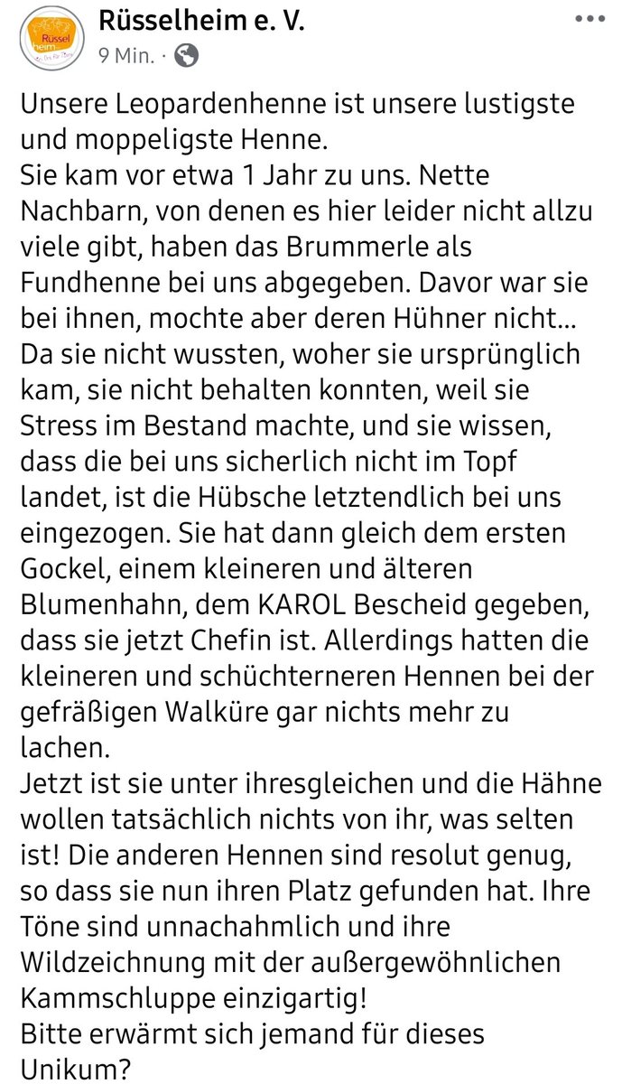 Unsere Leopardenhenne ist unsere lustigste und moppeligste Henne.
Wer uns mit einer kleinen Einmalspende unterstützen möchte, kann etwas für den Erhalt unserer Päppelstelle spenden, denn sonst haben alle Tiere, die hier leben ein großes Existenzproblem…
betterplace.org/de/projects/14…