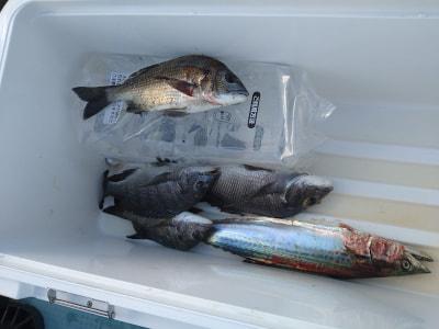 遊神チヌSP　様　確認ページ❗ 遊神チヌSP 様 確認ページ❗ フィッシング