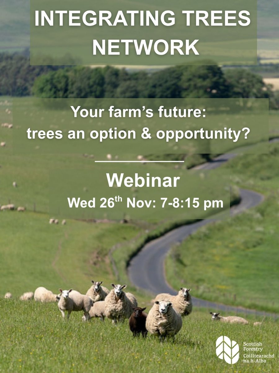 scotforestry's tweet image. Join our Integrating Trees Network farming hosts for a webinar on tree planting to boost a business. @DavyMcCracken, Andrew Adamson &amp;amp; Andrew Barbour are the farming expert hosts for this free event.

Booking ➡️ tickettailor.com/events/integra…