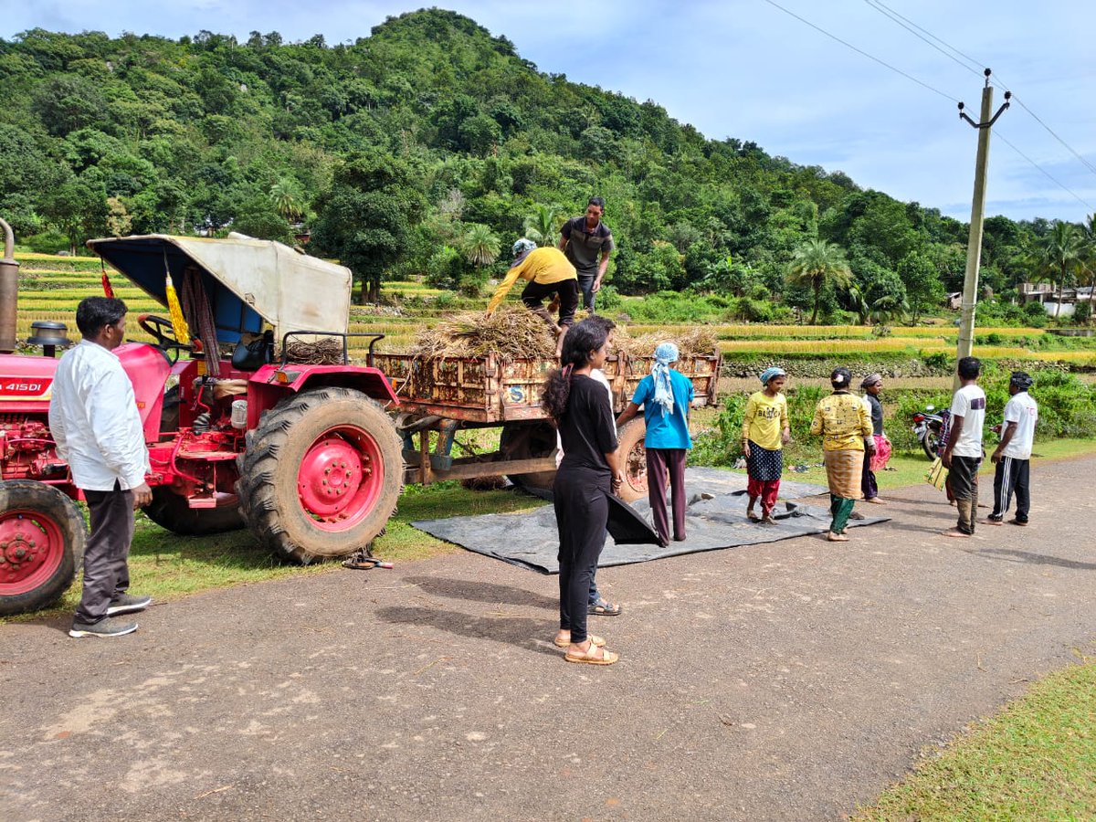 BdoGumma's tweet photo. Farmers are taking produces to their home before #CyclonicStorm #Montha @DM_Gajapati @CDO_ZP_GJP @SRC_Odisha https://t.co/ZS41uxLkU8