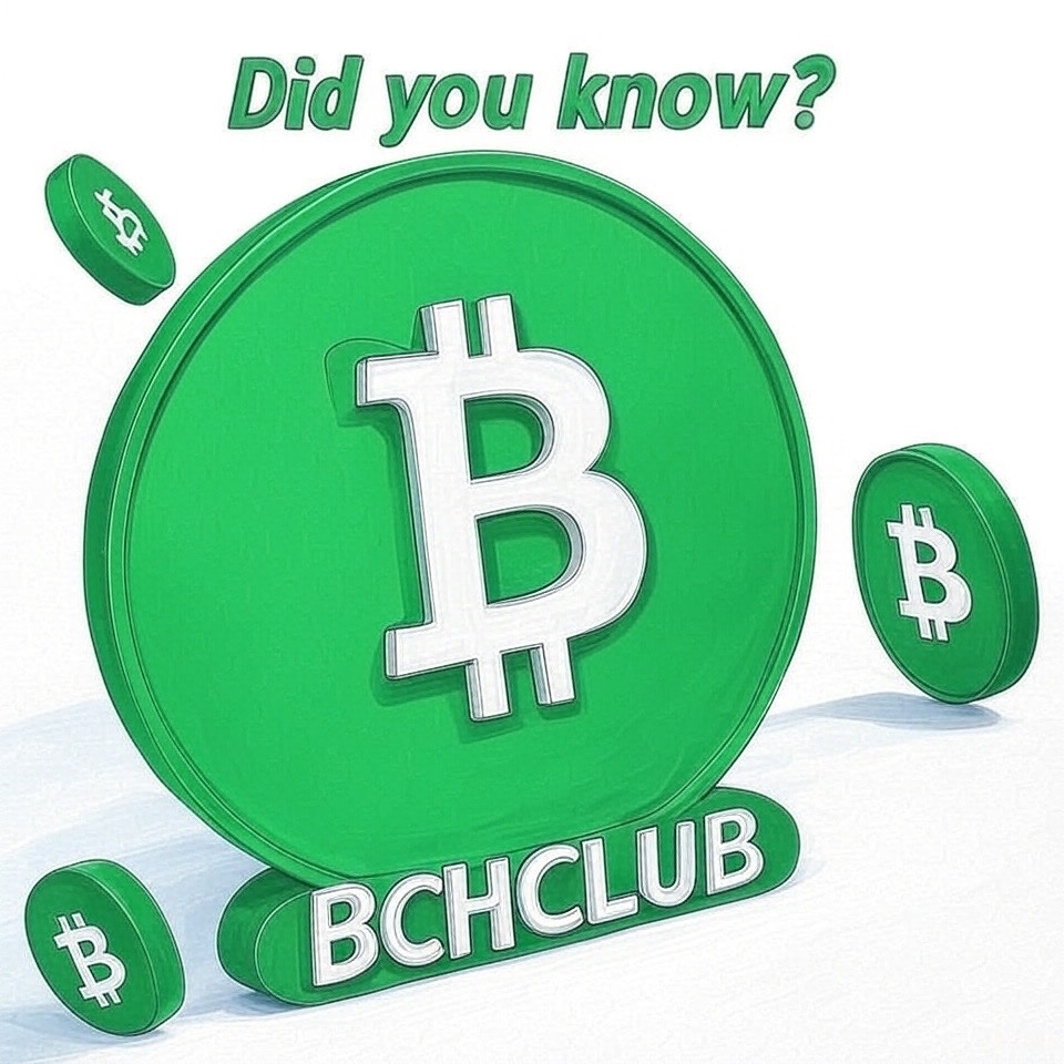bitcoincashclub's tweet image. #Wednesdaynuggets 

#BitcoinCash brings sound money to the world, fulfilling the original promise of Bitcoin as &quot;Peer-to-Peer Electronic Cash.

#BCHCLUB