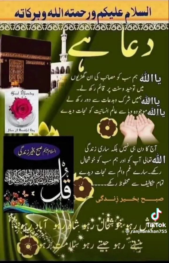 اسلام علیکم ورحمت اللہ وبرکاتہ 
Good evening ♥️