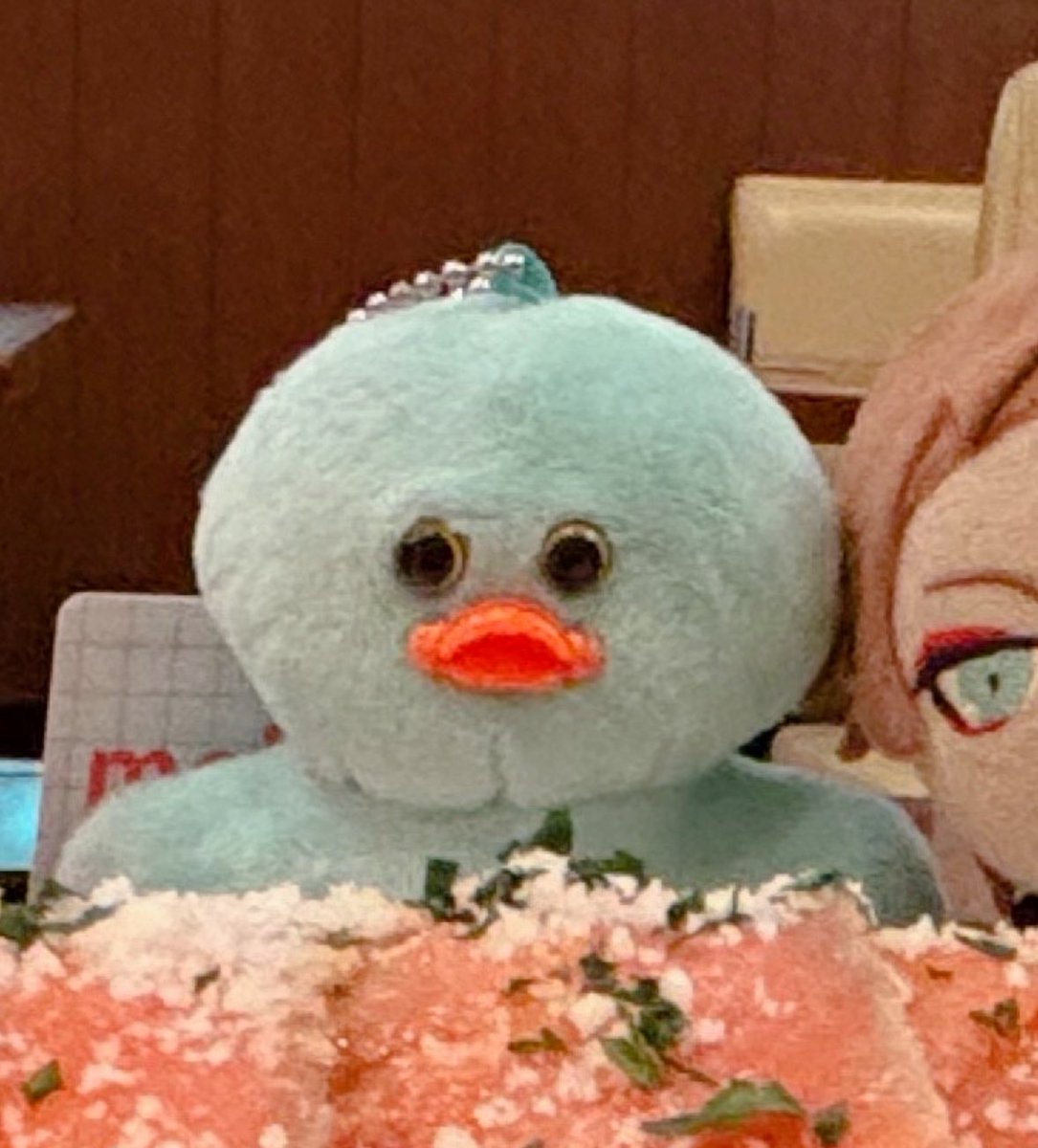 NATUAKEEE's tweet photo. ナチ��ラルに写ってたけど新入りの子です https://t.co/1kKwG8oB2V