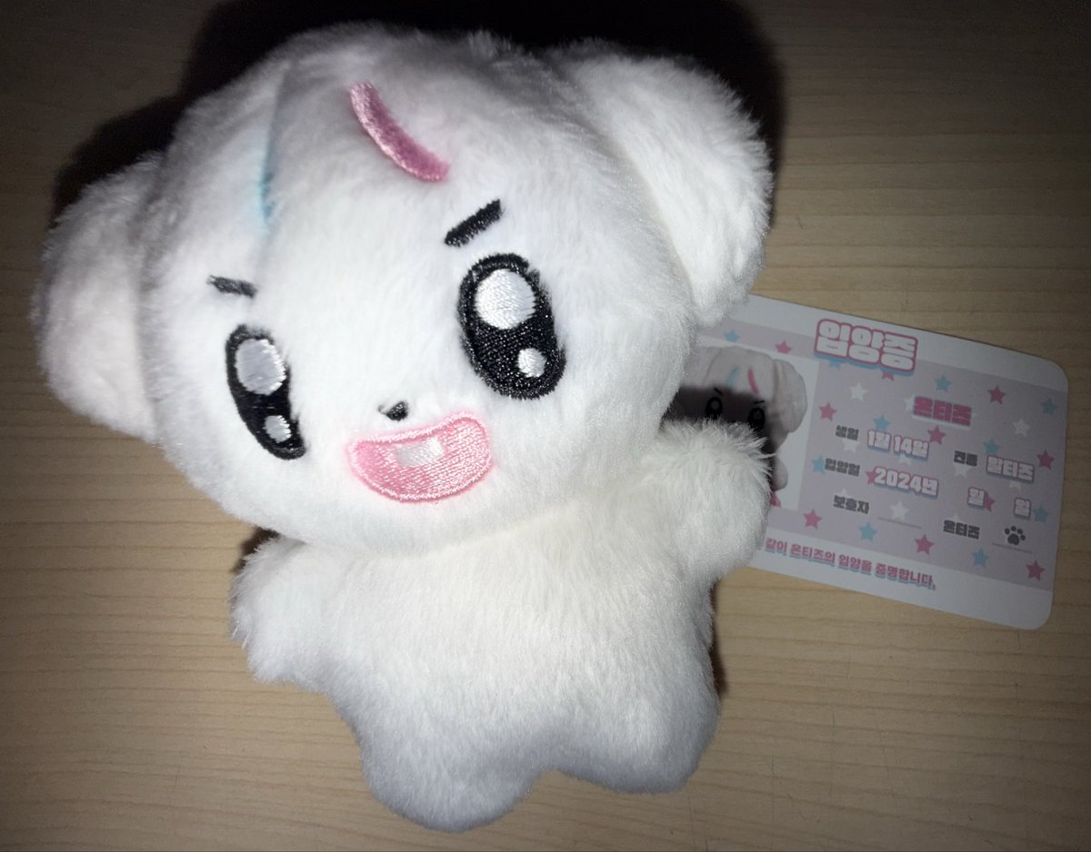 lovexk0114's tweet photo. 저에게도,,, 온티즈가 생겼다는 소식입니다,,///
아 너무너무너무 귀여워 어뜨케,,,,ㅠㅠㅠ🩵🩷 https://t.co/7kAKuNa8eH