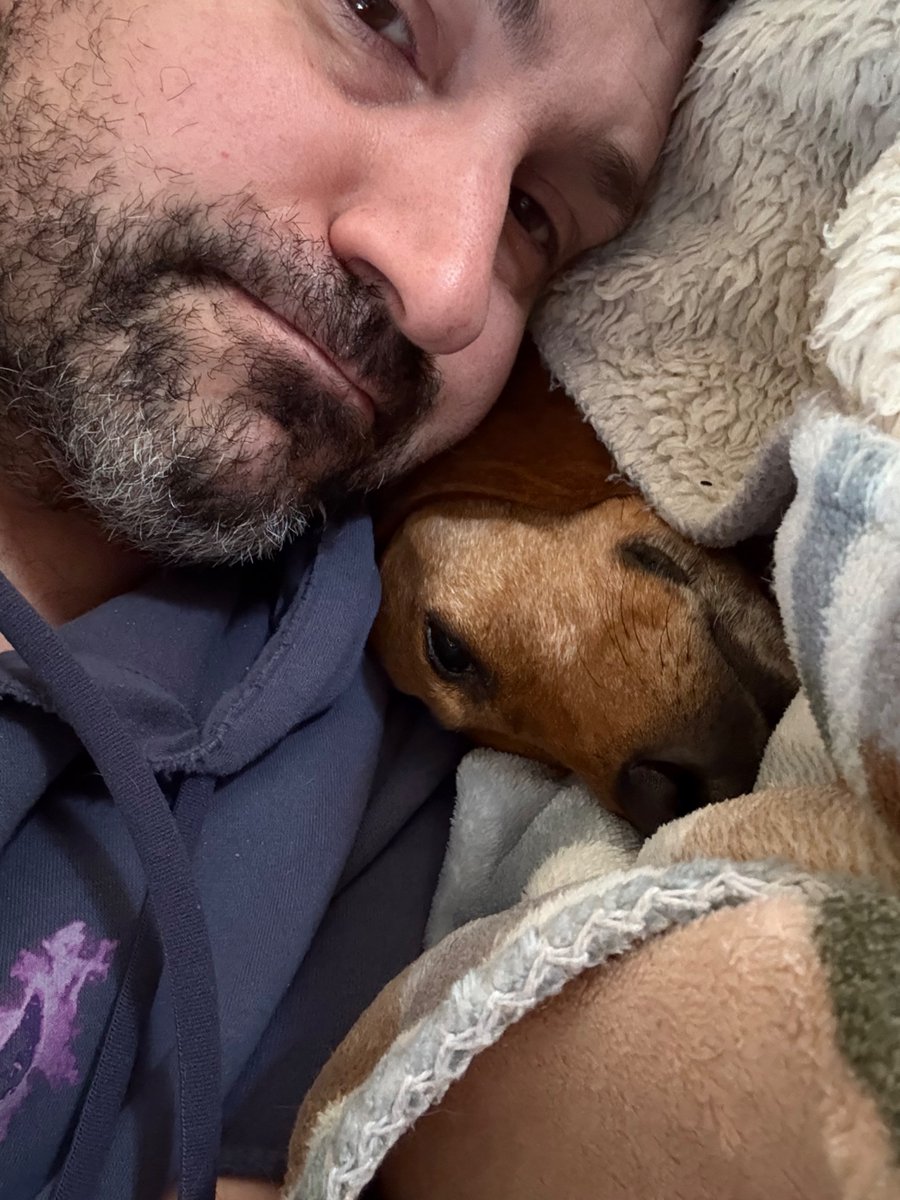 alex_whybrow's tweet image. 