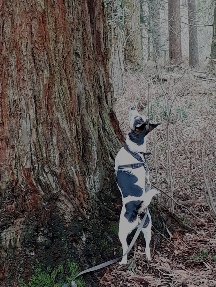 Frank & Polly tweet media