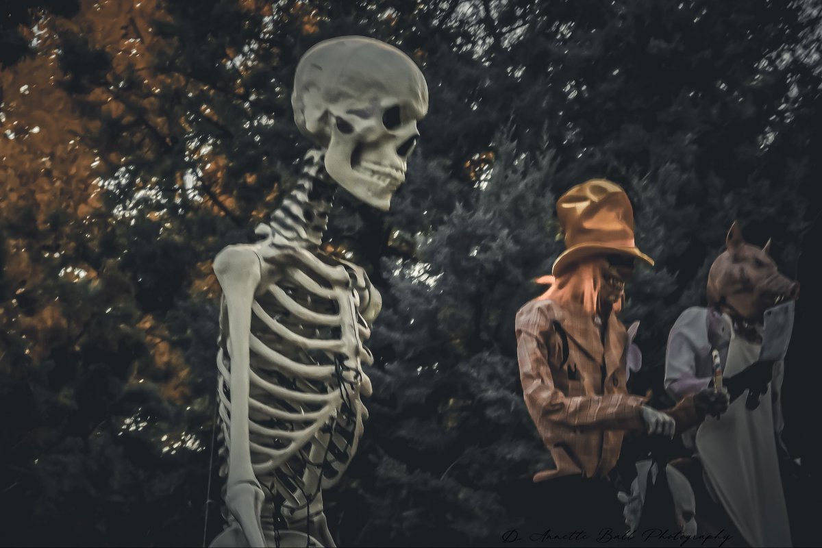 objetsdot's tweet image. Share your eerie pictures! 👻📸

“The stillness of nature can be the most unsettling thing of all.”