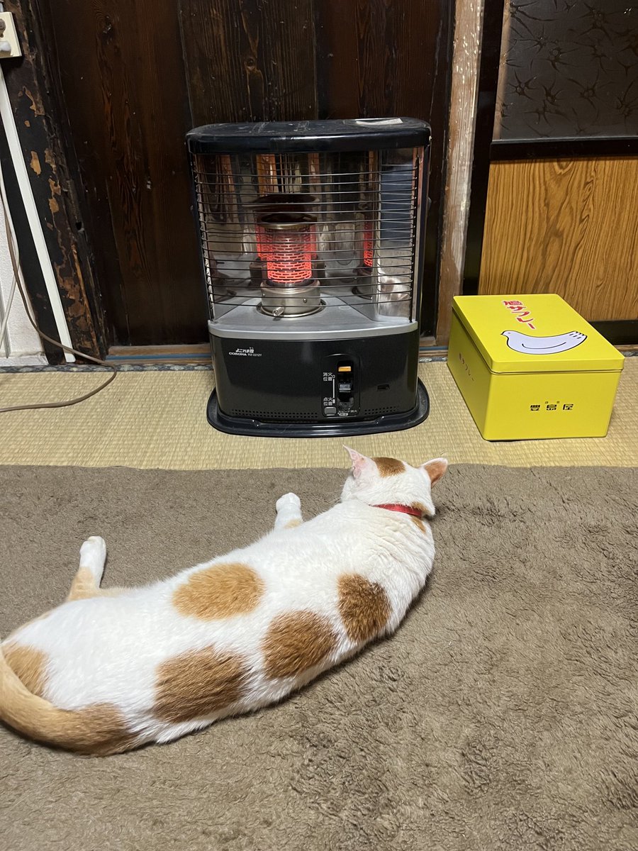 するめ (@ksurumet) / Posts / X